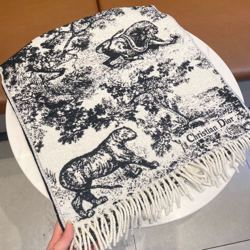 Christian Dior Scarf